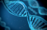 Molecular biology
