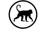 Anti-Monkey