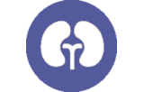 Primary antibodies for immunohistochemistry CE/IVD - Genitourinary pathology