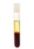 Plasma