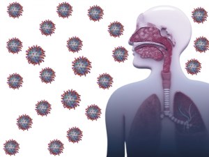 Complete Research Solutions for Respiratory Viruses!