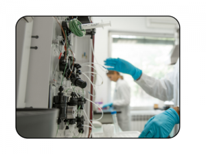 Protein production and purification in an eukaryotic system