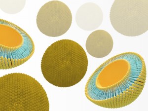 Lipid Nanoparticles: Precision Delivery for Next-Gen Therapies
