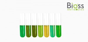 20% OFF Biochemical Compounds
