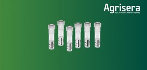 10% OFF Photosynthesis Antibodies