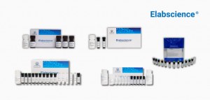 Buy Cell Health Detection kits, Get auxiliary reagents FOR FREE