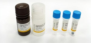 Free Western Blot Trial Kit+ 50% Discount on Components! 