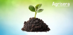 15% OFF Environmental Stress Research Antibodies