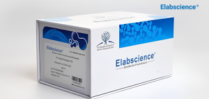 Save 25% on Selected Metabolism Assays from Elabscience!