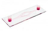 µ-Slide en forma de Y