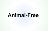 Animal-free recombinant proteins