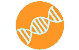 Citogenética molecular