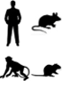 Todas las especies
