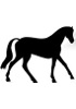 Caballero