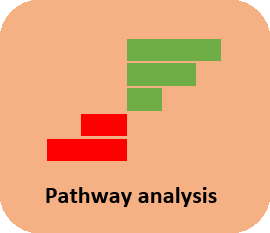 Pathway Analysis