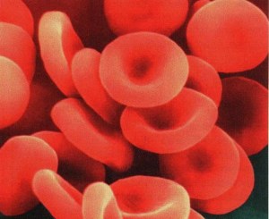 Protocol for flow cytometry on whole blood