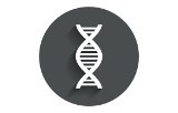 DNA polymérases for difficult templates