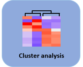 Cluster Analysis