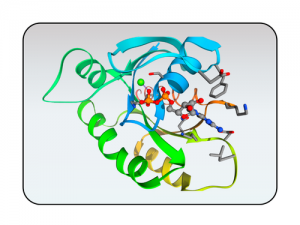Análisis de proteínas