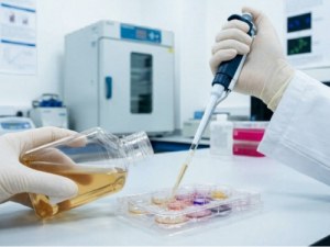 Soluciones con suero fetal bovino (FBS) para un crecimiento celular constante