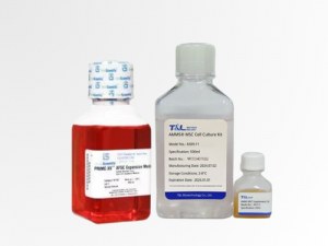 Avances en terapia celular y génica con medios de cultivo optimizados