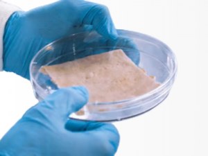 Acceso a tejido cutáneo humano para investigación traslacional