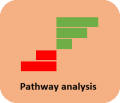 Pathway Analysis