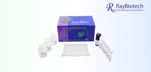 Save 25% on All RayBiotech ELISA Kits