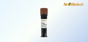 NeoDye: reactivos para la tinción de ADN en gel con un 30 % de descuento
