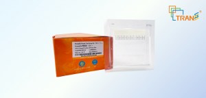 50 % DE DESCUENTO en geles prefabricados: precios competitivos para electroforesis