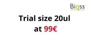 Anticuerpos monoclonales recombinantes Bioss, formato de prueba de 20 µl: solo 99 €