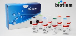 Ahorra un 30 % en reactivos de Biotium Life Science