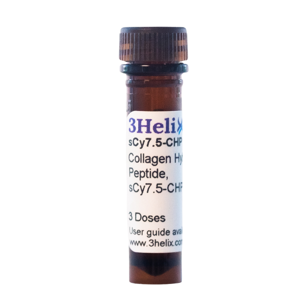 In Vivo | Collagen Hybridizing Peptides, sulfo-Cy7.5 Conjugates (sCy7.5-CHP)