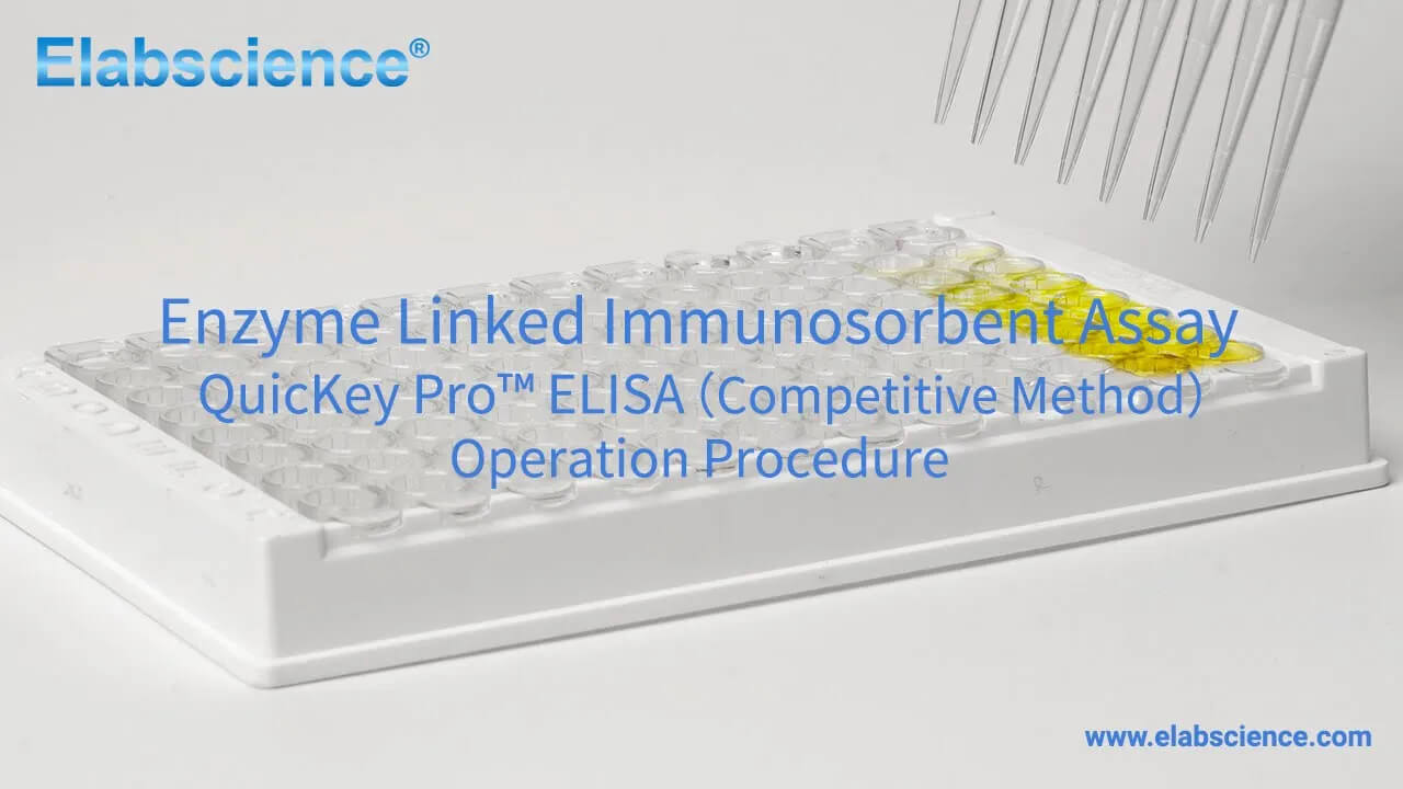 QuicKey Pro Rabbit Pg(Progesterone) ELISA Kit - small - 6