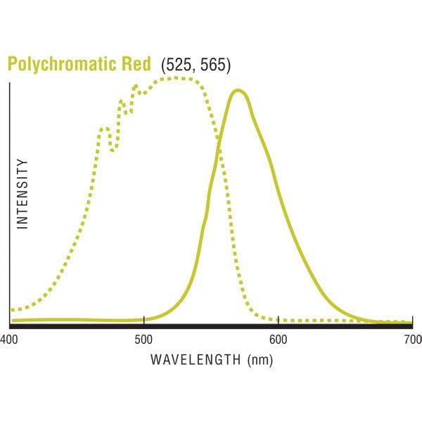 Fluoresbrite® Polychromatic Red Microspheres 6.0µm - Polysciences