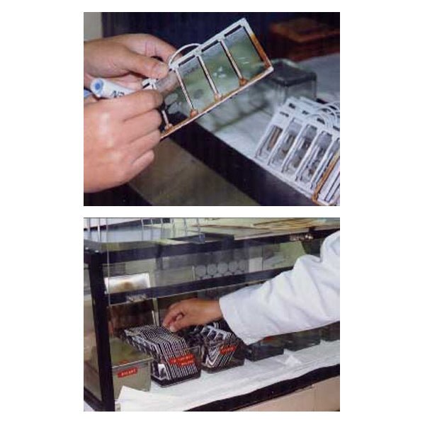Glass Slide Holder - Polysciences