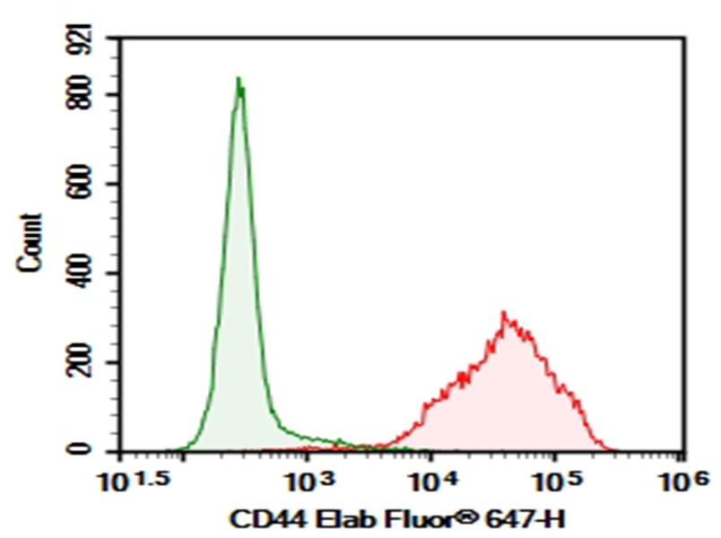Purified Anti-Human/Mouse CD44 Antibody[IM7] - 1