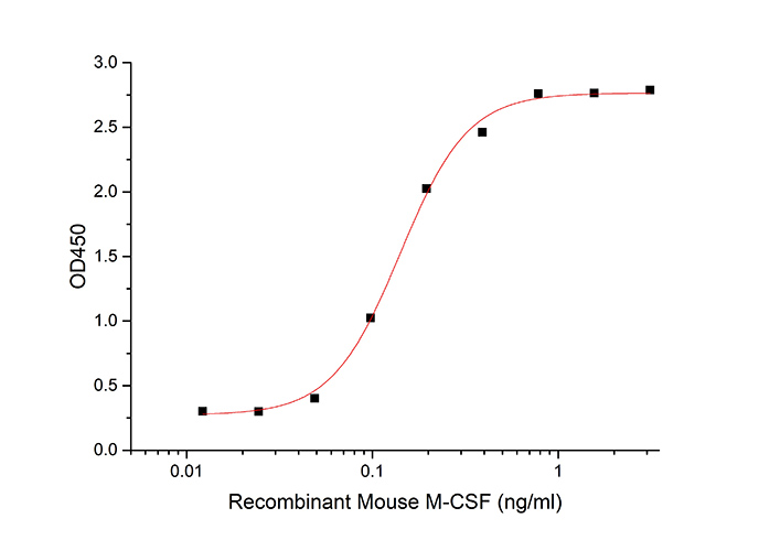Recombinant Mouse M-CSF/CSF1 Protein - 2