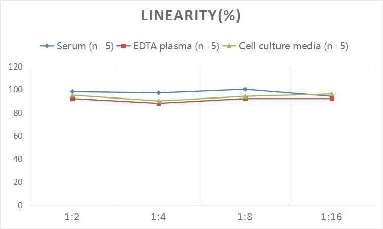 8-OHdG(8-Hydroxydeoxyguanosine) ELISA Kit - 2