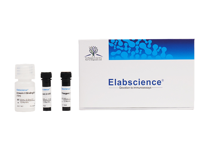Annexin V-FITC/PI Apoptosis Kit - 2