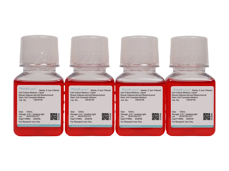 Mouse Adipose-derived Mesenchymal Stem Cell Complete Medium - small - 2
