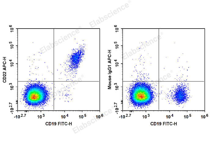 APC Anti-Human CD22 Antibody[HIB22] - 1