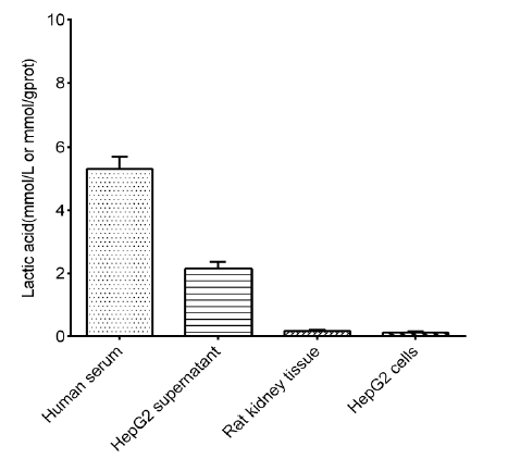 L-Lactic Acid (LA) Colorimetric Assay Kit - 2