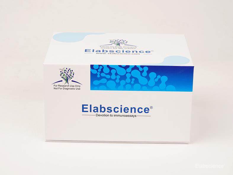 SARS-CoV-2 Nucleocapsid Protein ELISA Kit - 3