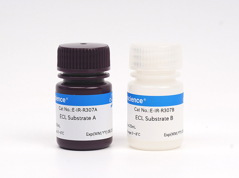 Excellent Chemiluminescent Substrate (ECL)Diagnostic Kit - 1