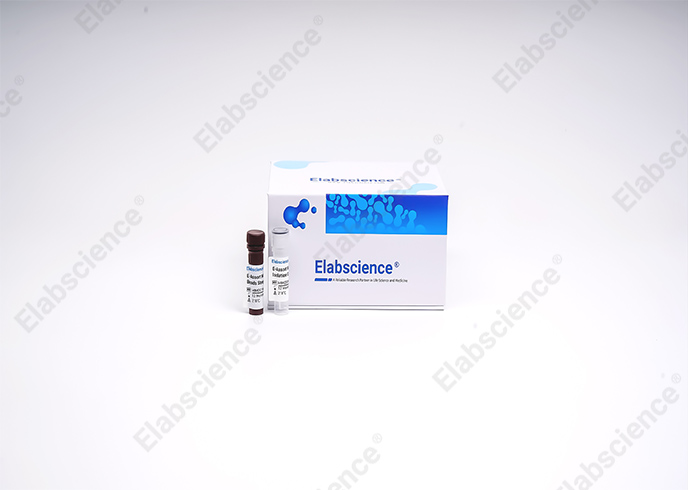EasySort™ Mouse NK Cell Isolation Kit - 2