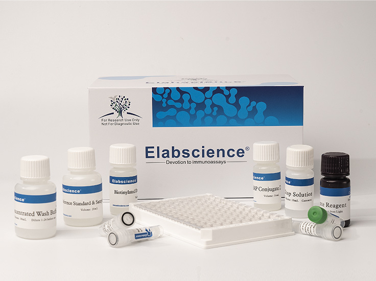 fT3(Free Triiodothyronine) ELISA Kit - small - 4