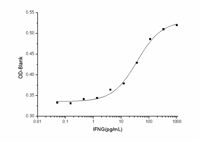 Recombinant Human Interferon γ/IFNG Protein - 2