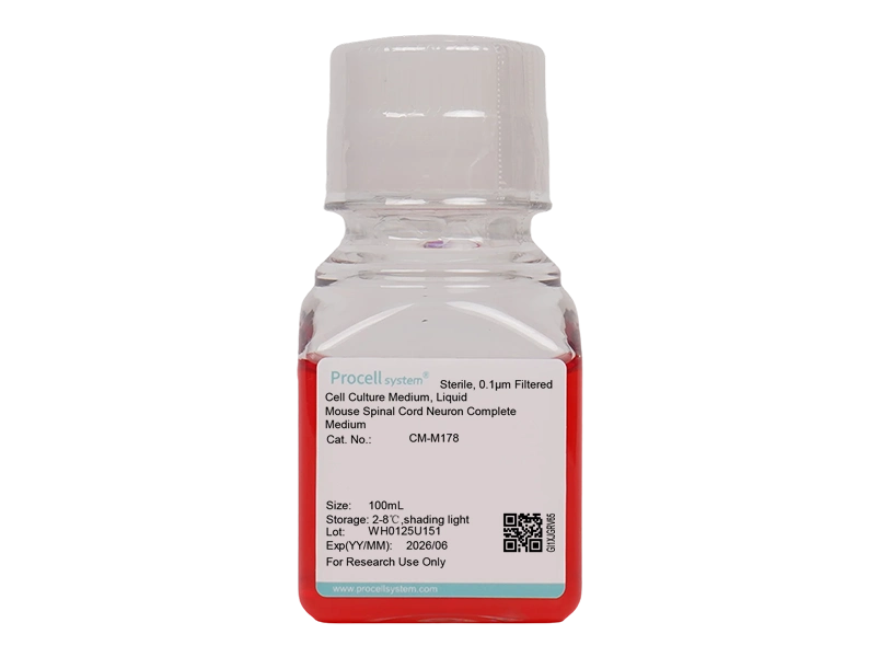 Mouse Spinal Cord Neuron Complete Medium - 1