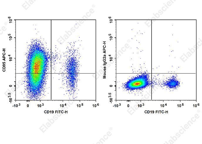 APC Anti-Human CD95/Fas Antibody[HFE7A/APO] - 1
